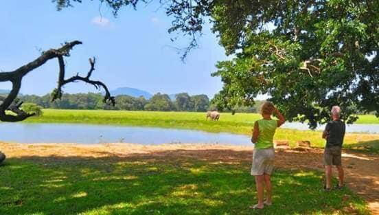 Crocodile Park Bungalow Kataragama Ngoại thất bức ảnh