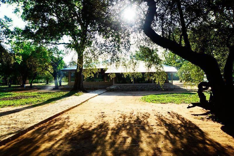 Crocodile Park Bungalow Kataragama Ngoại thất bức ảnh